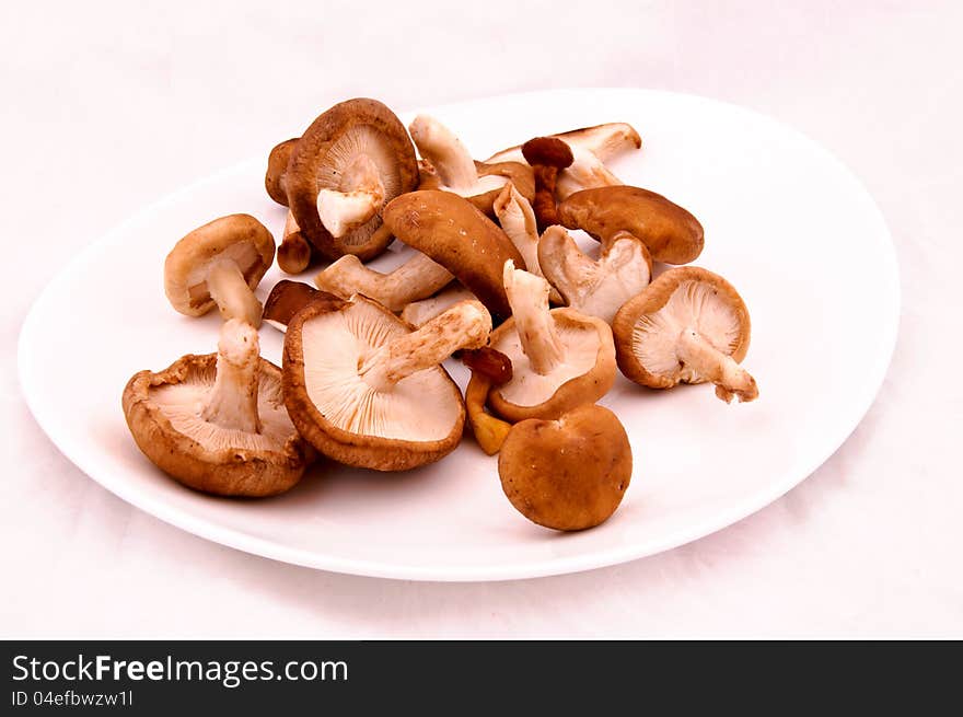 Mushrooms mix on the white plate. Mushrooms mix on the white plate