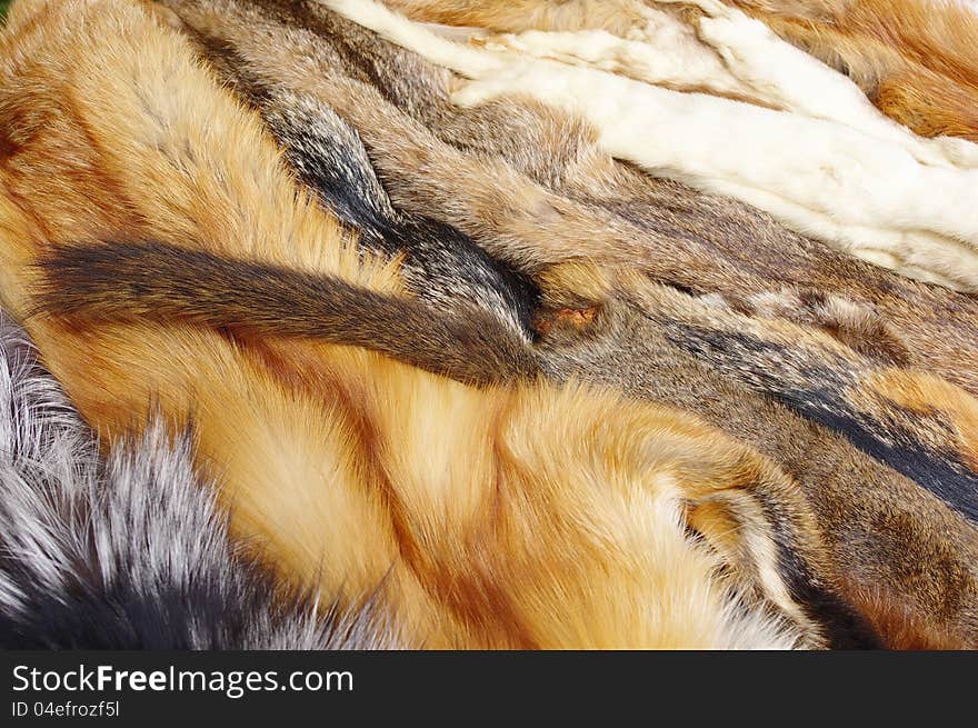 Red and silver fox, squirrel, ermine and other furs laid out with in a diagonal pattern.