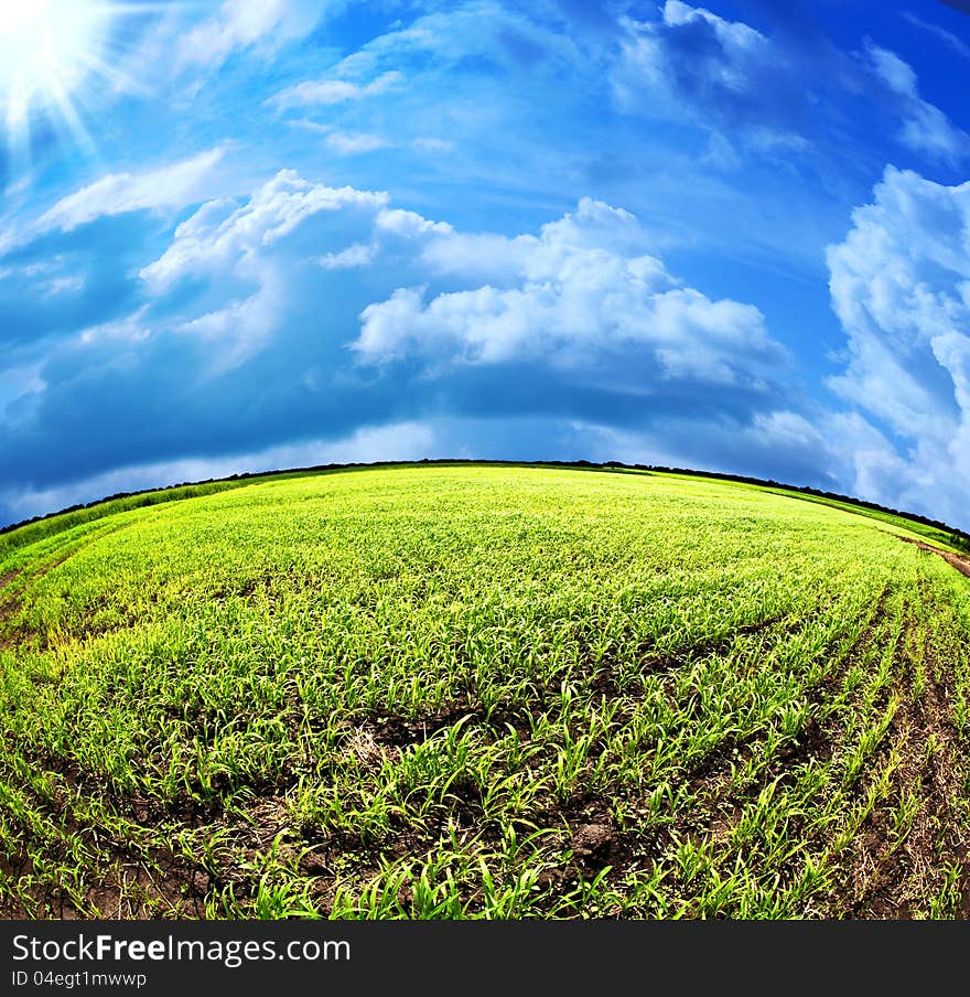 Abstract summer landscape under the blue skies