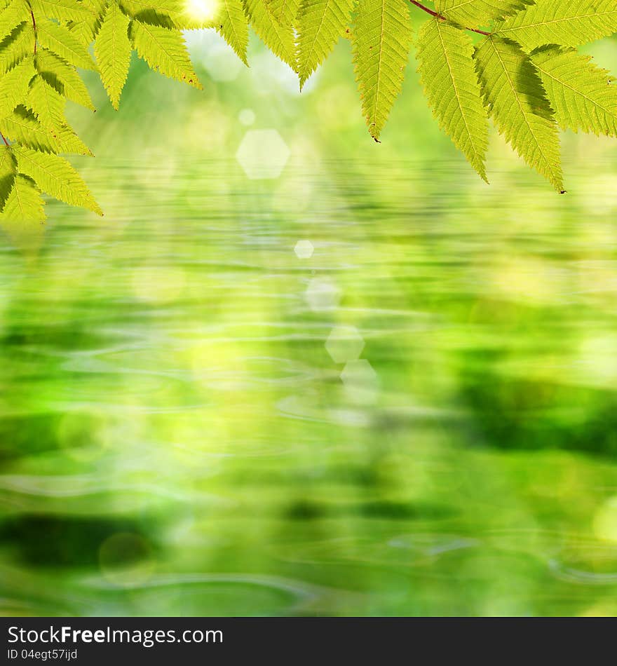 On the lake. Abstract summer backgrounds