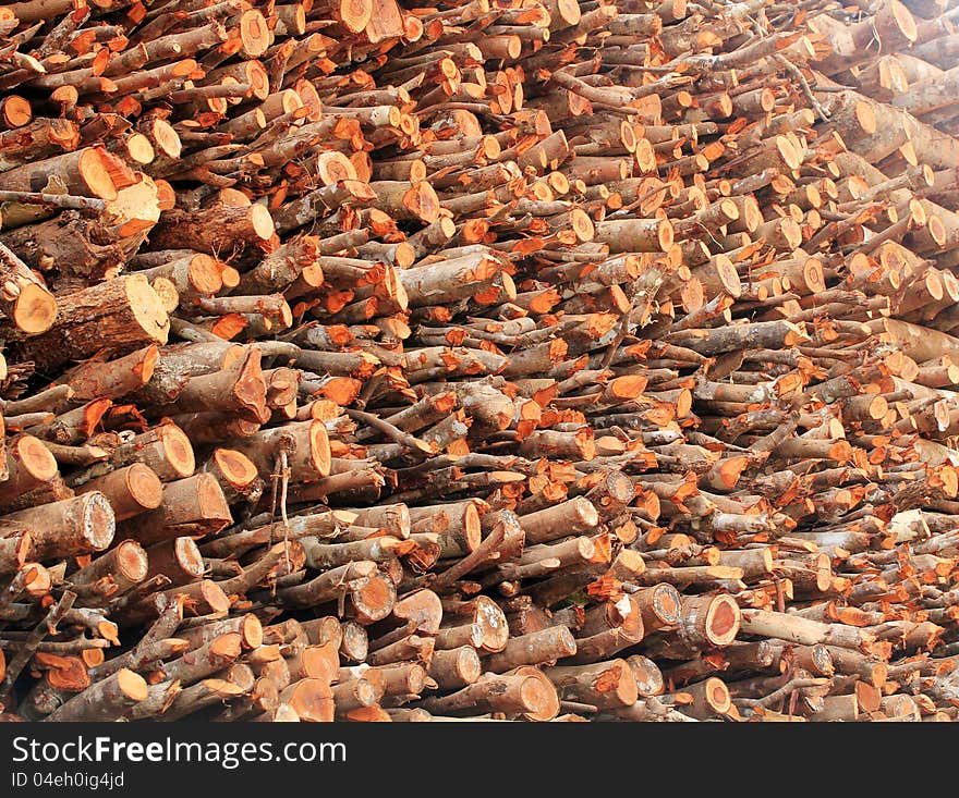 Deforestation- logs of chopped wood piled for sale