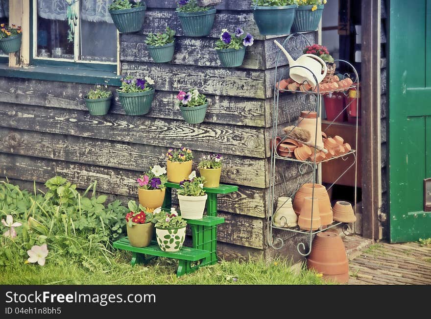 Home flowers pots