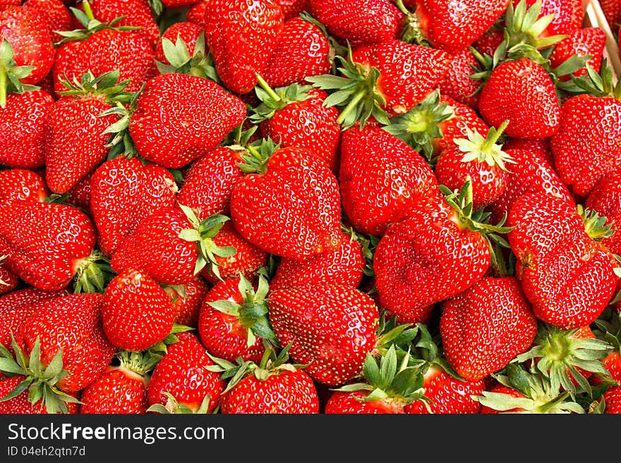 Fresh organic strawberries in May