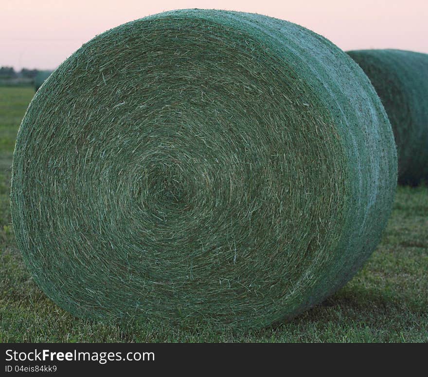 Freshly baled large round green hay bales on grass next to road way on grass in rural, Iowa. Photographed in Spring at sunset. Freshly baled large round green hay bales on grass next to road way on grass in rural, Iowa. Photographed in Spring at sunset.