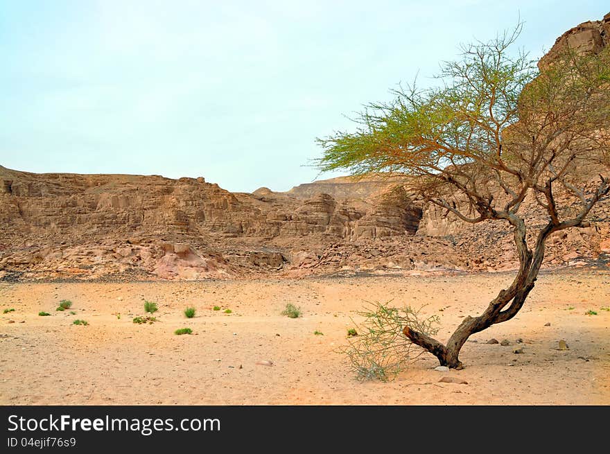 Egypt, sandy mountains