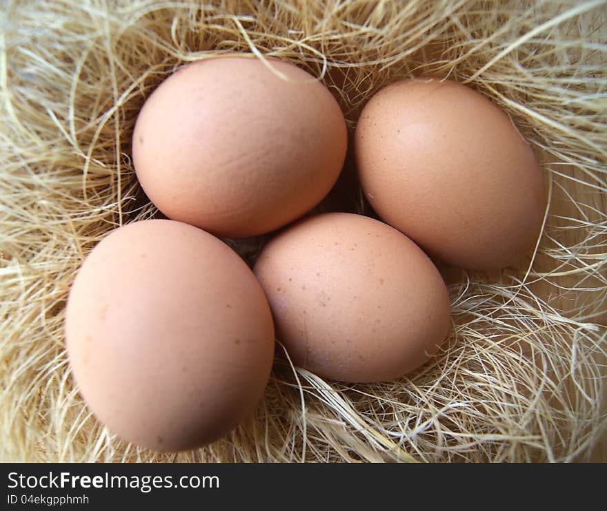 Chicken eggs in a nest, detail