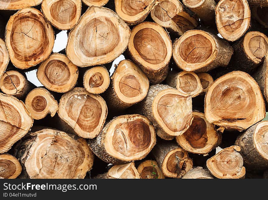 Stack of newly felled pine tree trunks still oozing resin, harvested by lumberjacks in the forest. Stack of newly felled pine tree trunks still oozing resin, harvested by lumberjacks in the forest