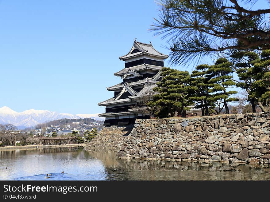 South East view of Matsumoto castle with ornamental pine trees. South East view of Matsumoto castle with ornamental pine trees.