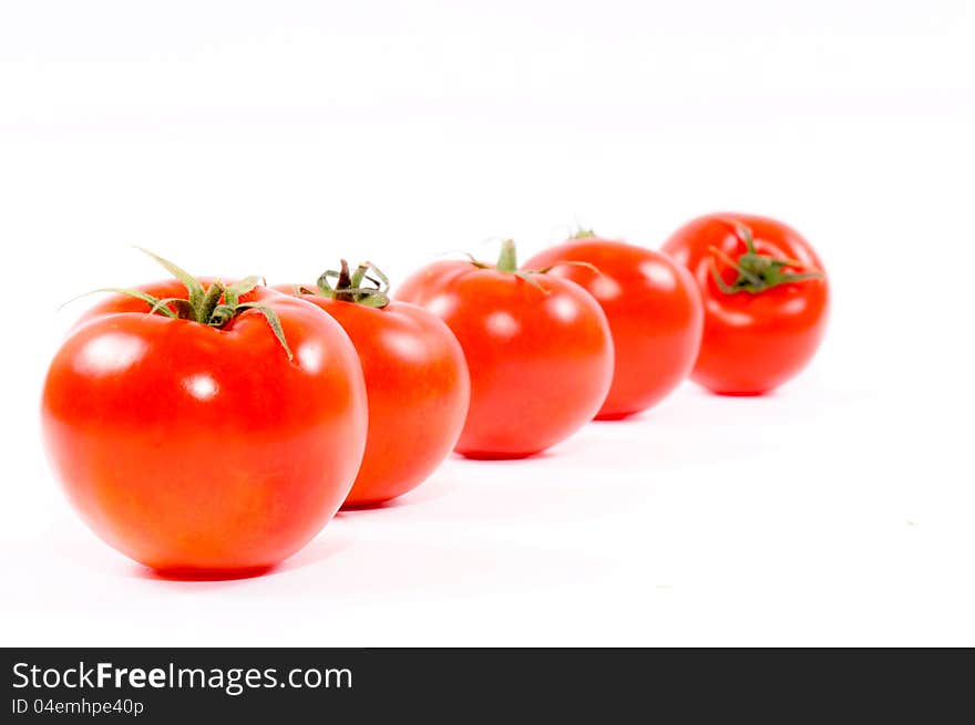 Tomatoes in line