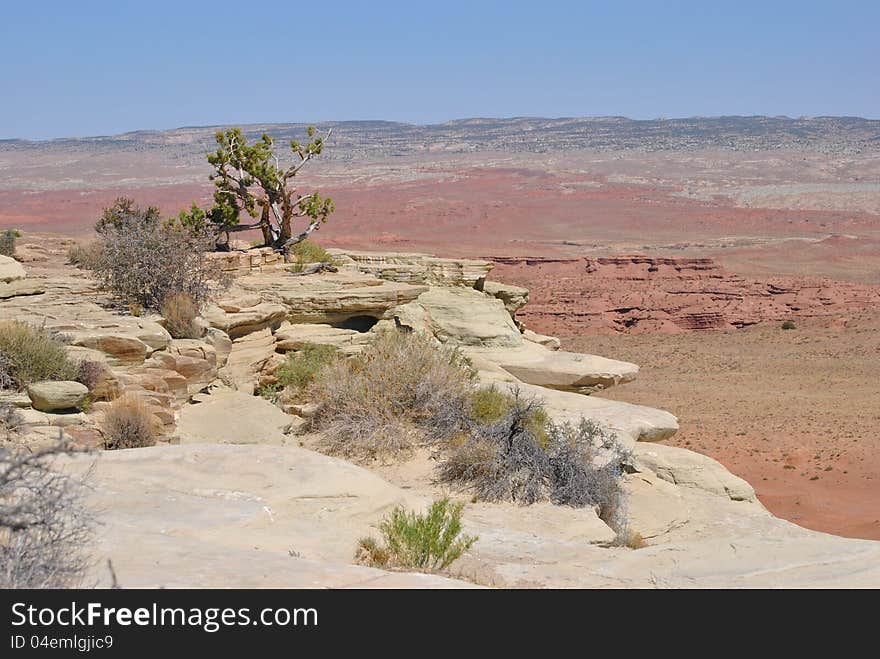 Moab Desert