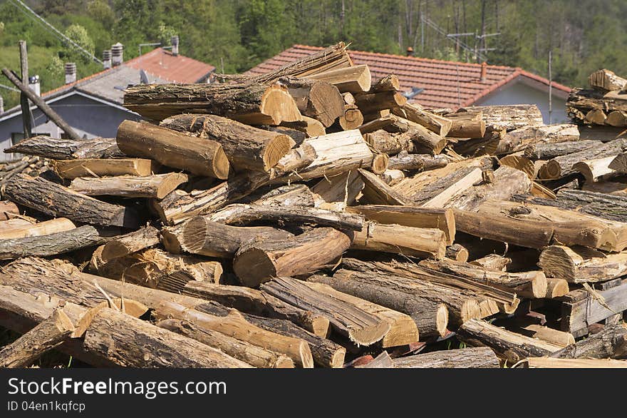 Wood trunks in a forest