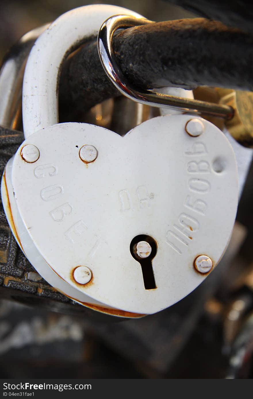 Bright Wedding Locks On The Fence