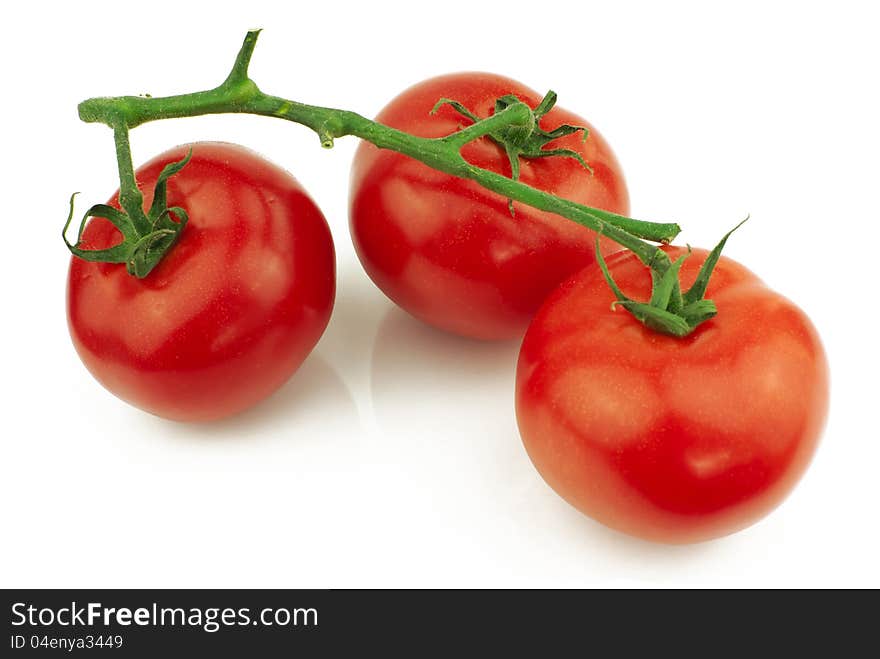 Three red tomatoes on stem