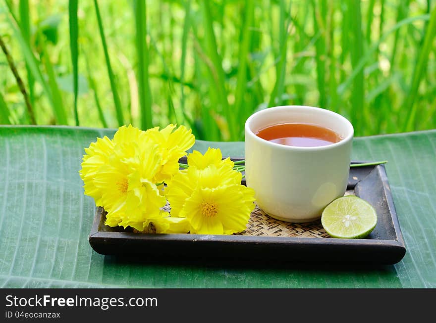 Aroma lemon tea with blossoms and green background at countryside