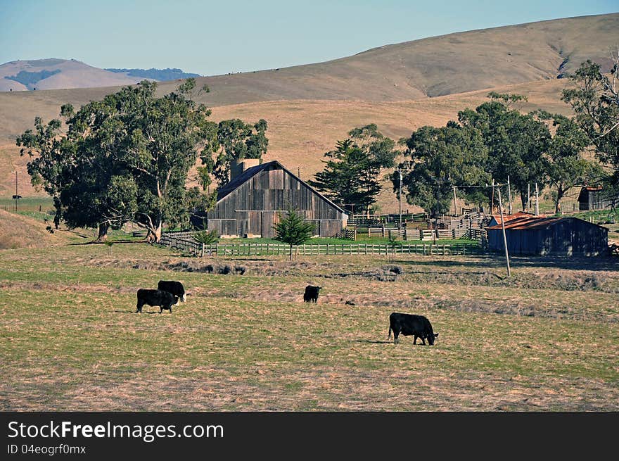 Farm along Highway 1 in California. Farm along Highway 1 in California