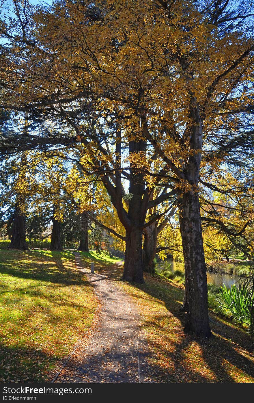 Christchurch s Hagley Park & Avon River in Autumn