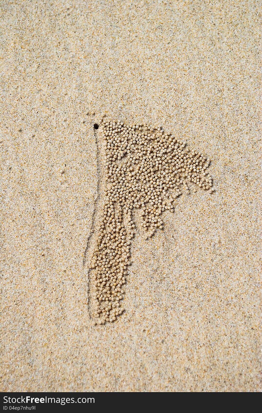 Background of beach crab markings and ripple pattern sand