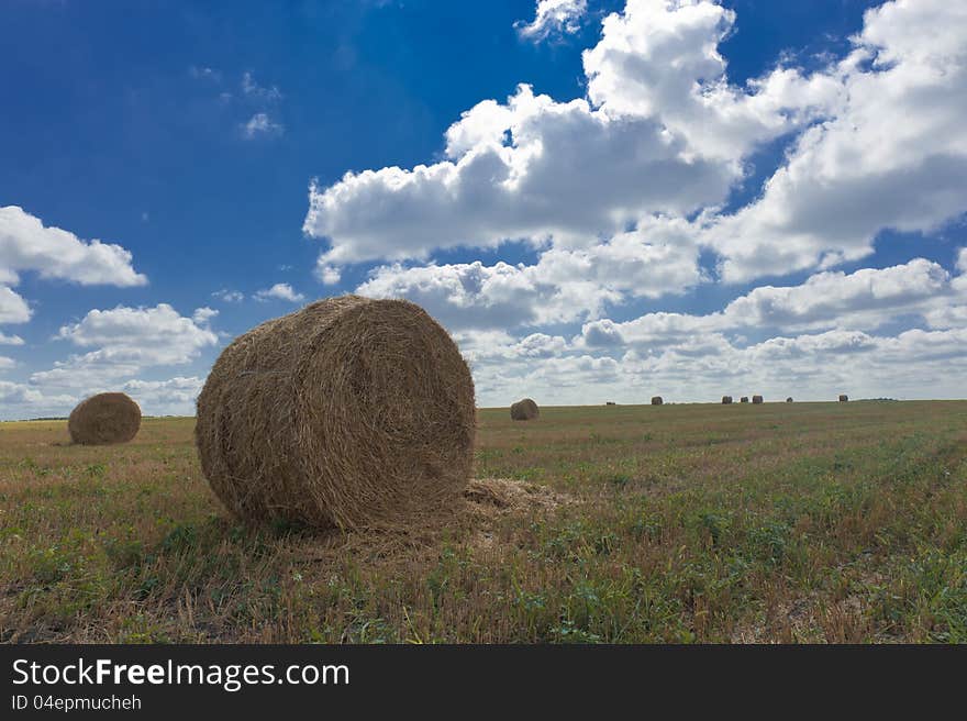 Portrait of a beautiful rural landscape - rolls of hay on the field, cloudy sky and a wonderful horizon. Portrait of a beautiful rural landscape - rolls of hay on the field, cloudy sky and a wonderful horizon