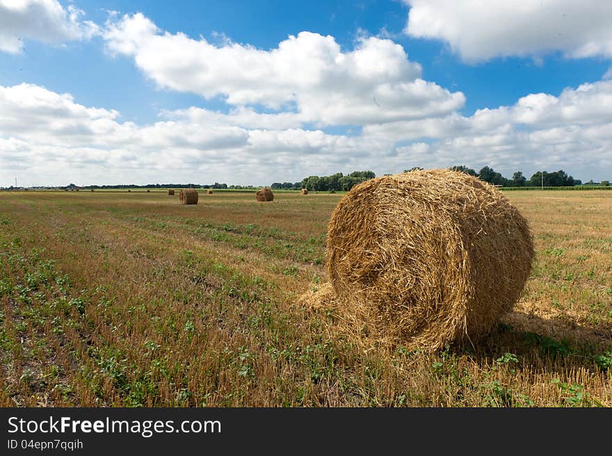 Photo of a beautiful rural landscape - rolls of hay on the field, cloudy sky and a wonderful horizon. Photo of a beautiful rural landscape - rolls of hay on the field, cloudy sky and a wonderful horizon