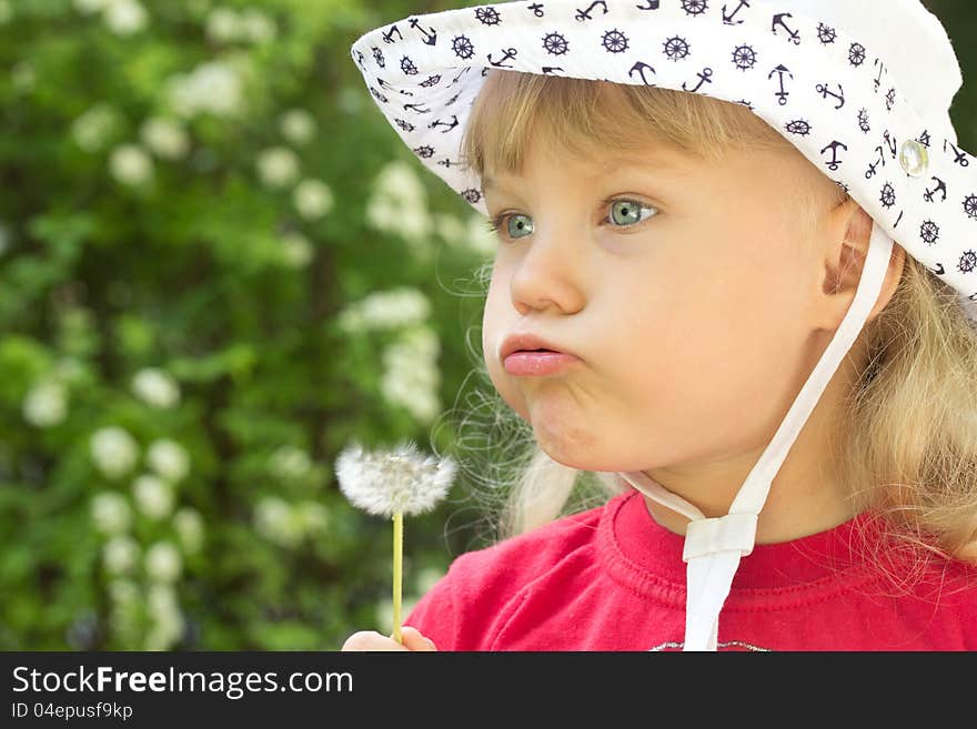 Young girl in white cap blowing dandelion. Young girl in white cap blowing dandelion