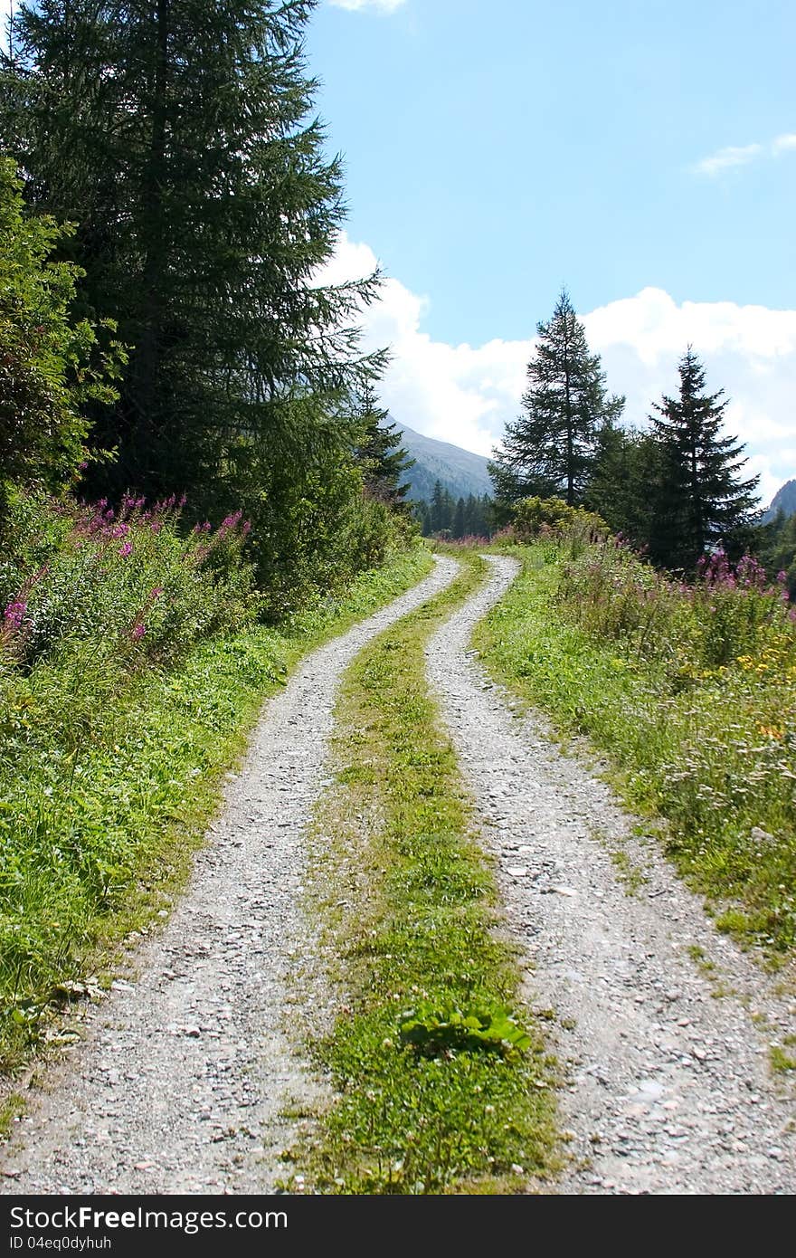 Small mountain road going uphill