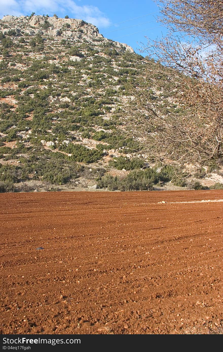 Field an mountain