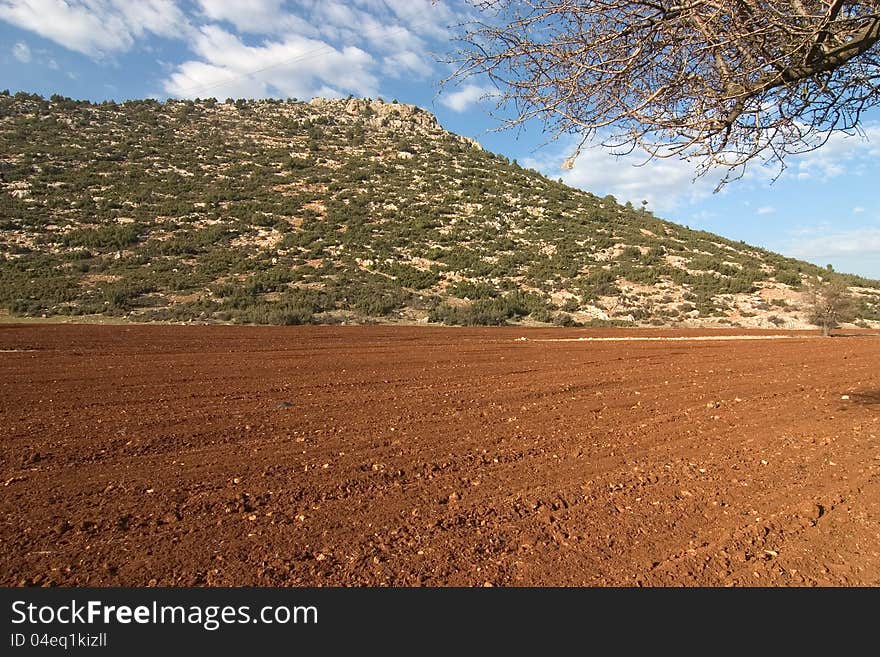 Red fields