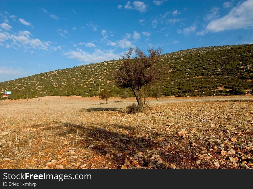 A stony field in turkey. A stony field in turkey