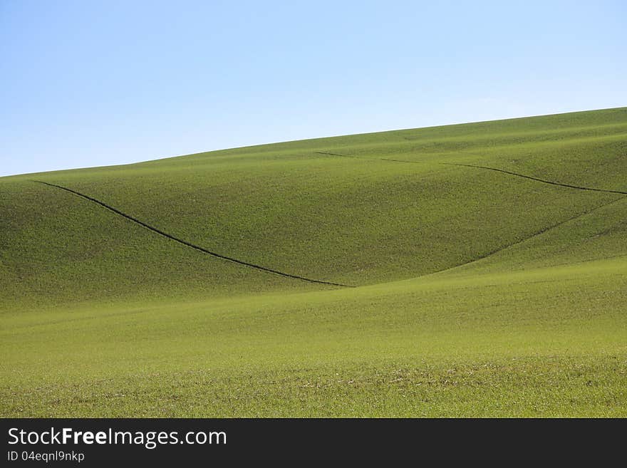 Agricultural land in val of Recanati. Marche region, Italy