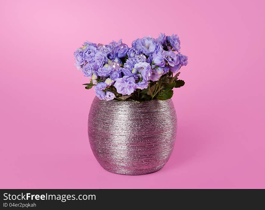 Bunch of flowers on pink background