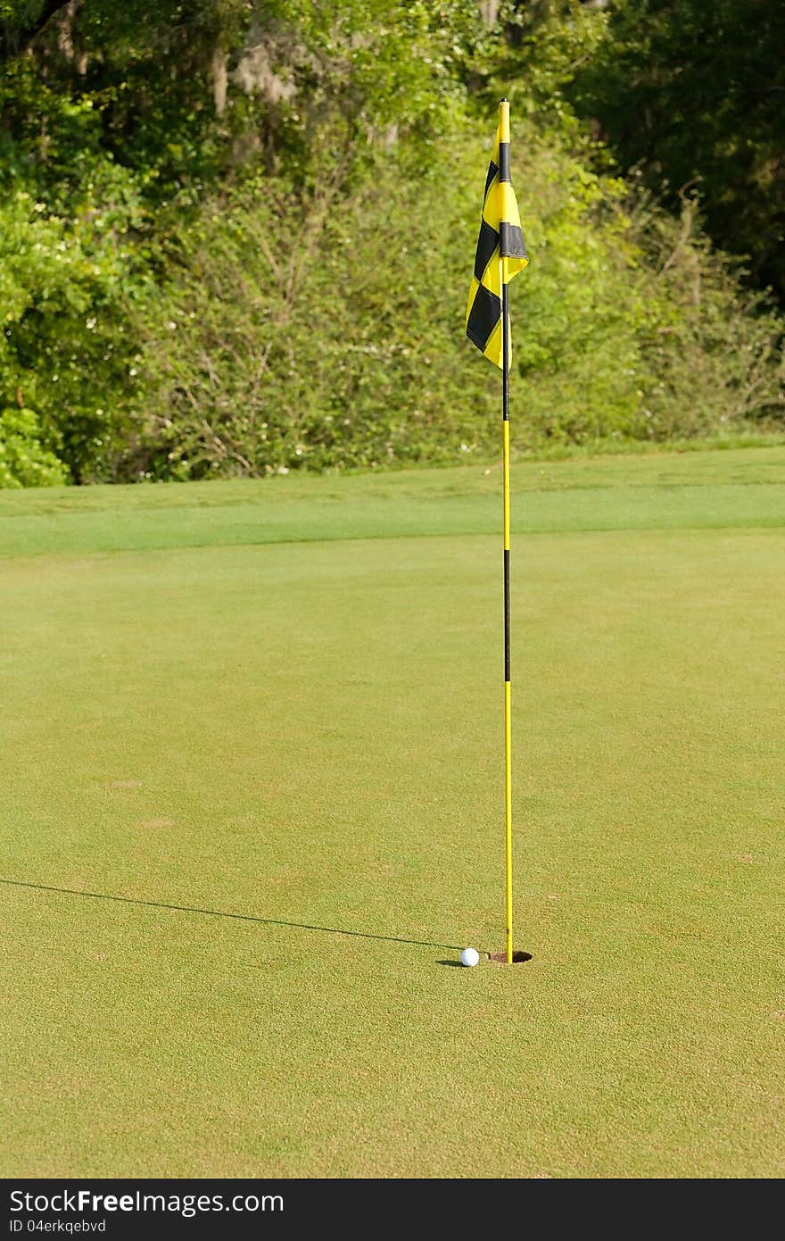 Golf ball sits inches from dropping in the hole on the putting green. Golf ball sits inches from dropping in the hole on the putting green