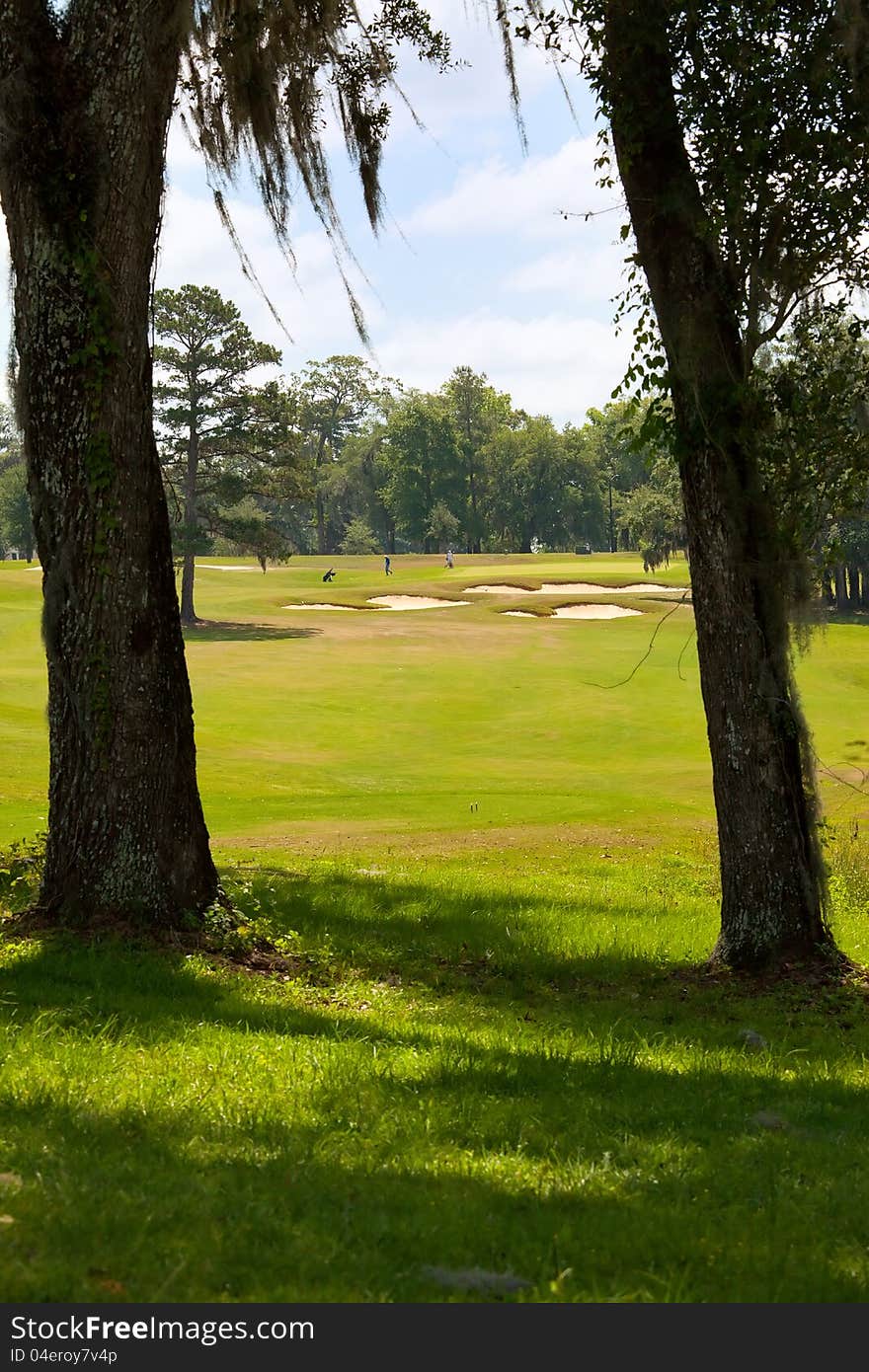 Beautiful Golf Course In Florida