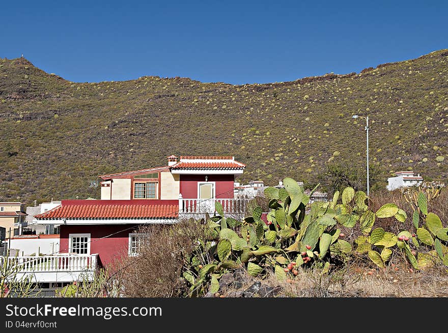 Small house with big cactus in tenerife, Spain. Small house with big cactus in tenerife, Spain