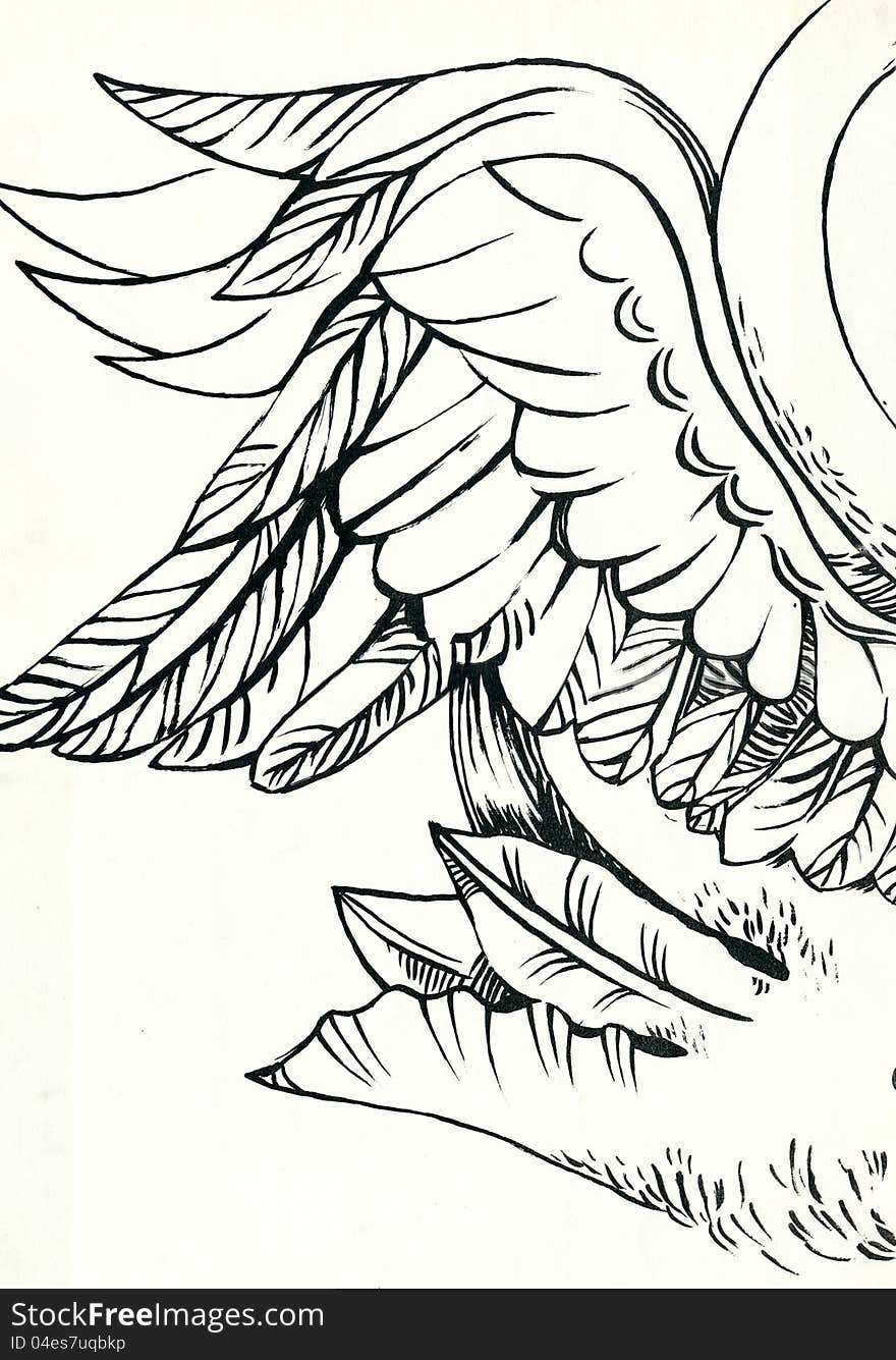 Wing - Angel Wing. Black ink technique. Drawing.