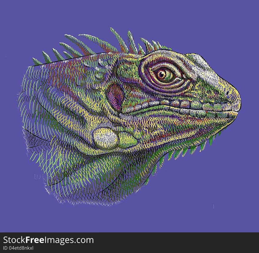 Iguana head artistic drawing