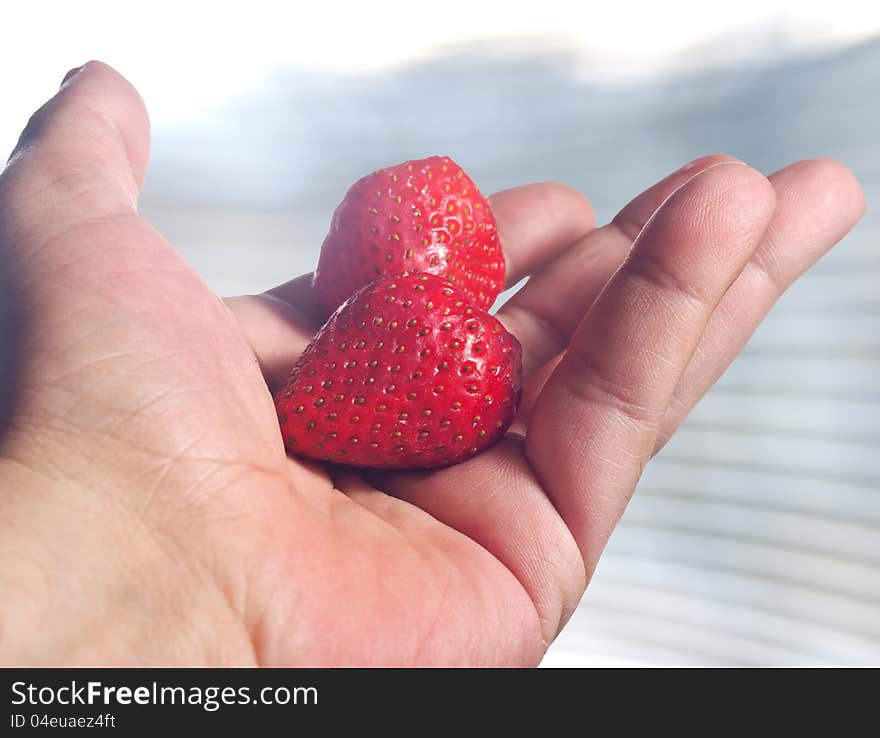 Close up photo of strawberries in hand