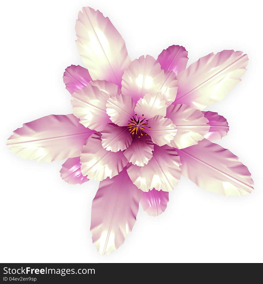 Echinopsis Cactus Flowers Background