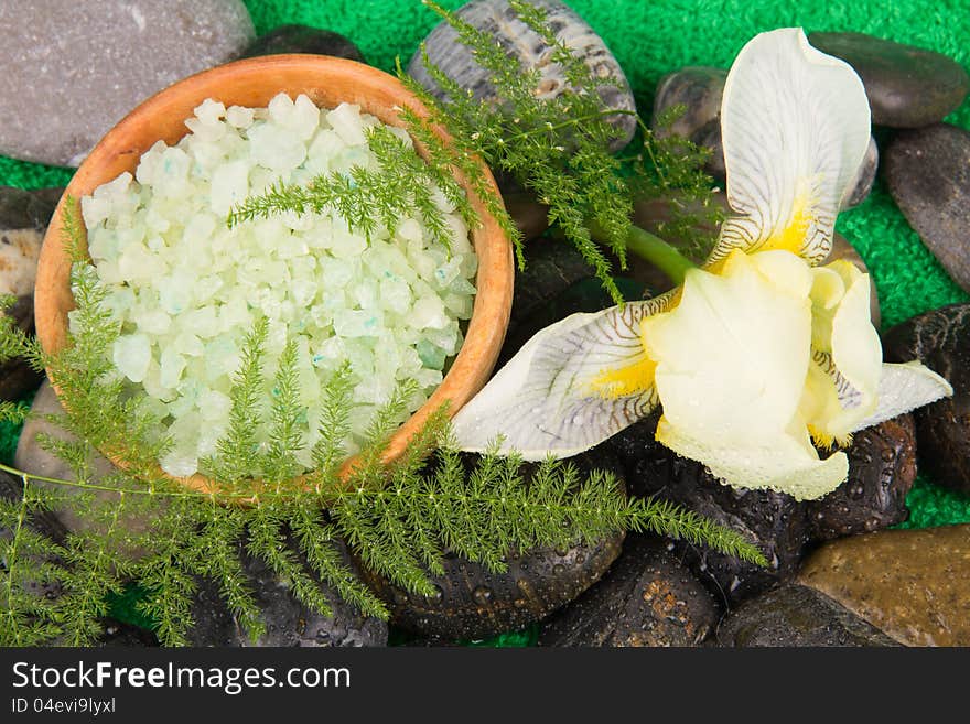 Yellow flower and a smooth sea stones. Yellow flower and a smooth sea stones