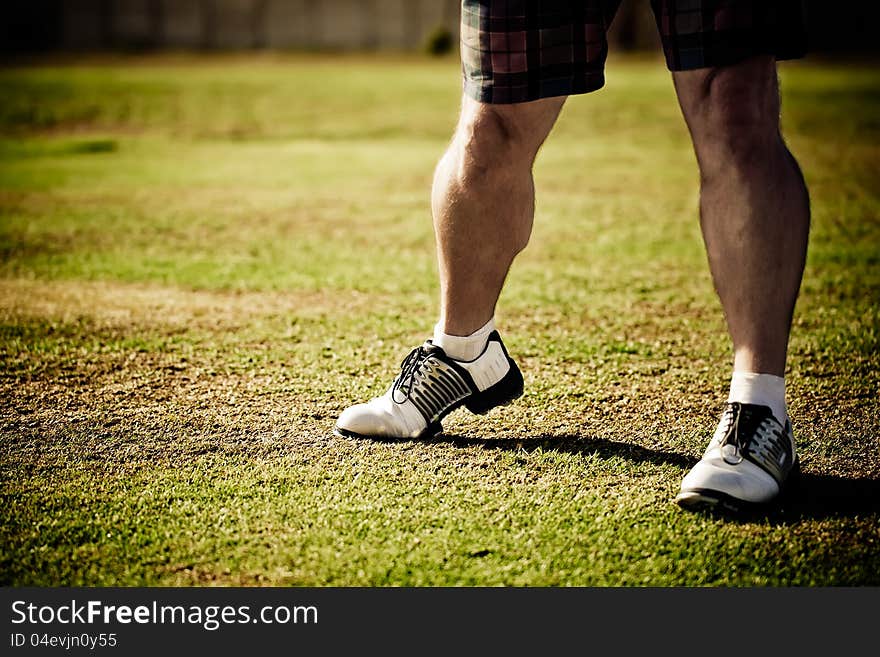 Golfing shoes waiting to be played with. Golfing shoes waiting to be played with.