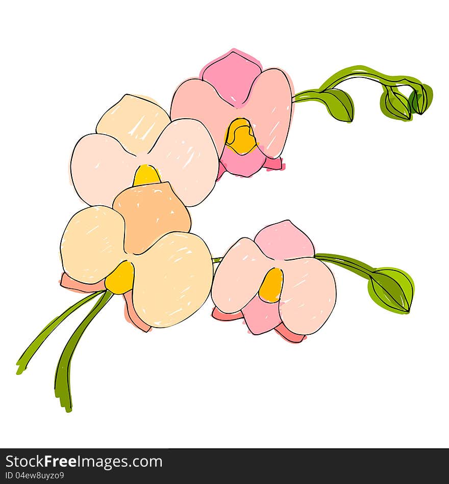 Illustrated cute flowers