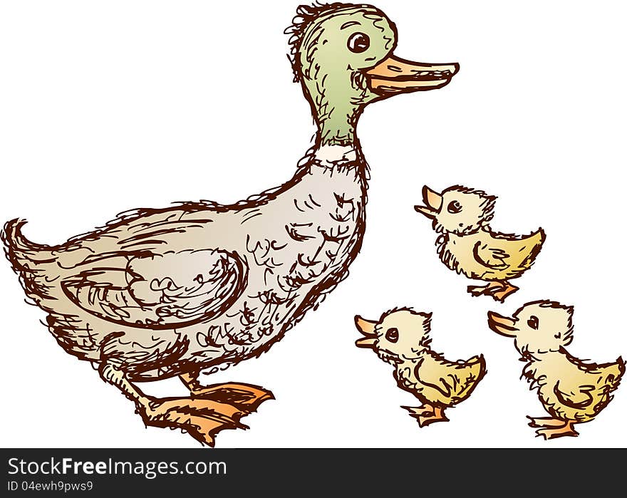 Duck and ducklings