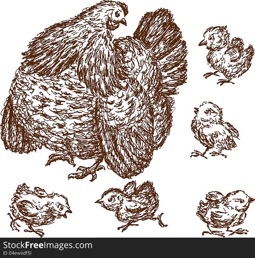 Hen with chickens