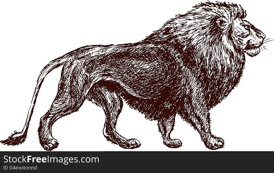 Vector image of a walking lion.