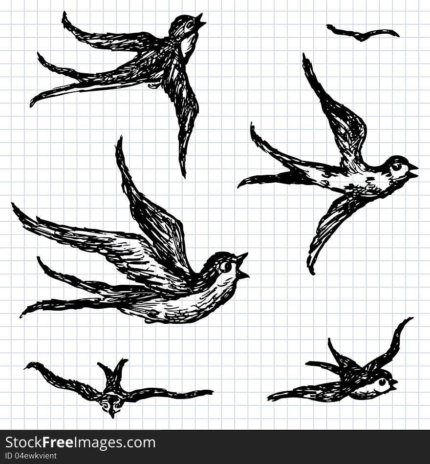 Vector image of a flying birds. Vector image of a flying birds.