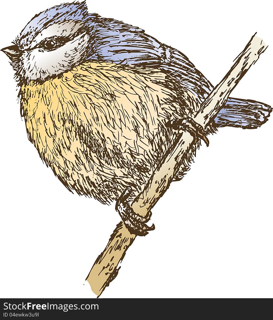 Vector image of a tit sitting on a branch. Vector image of a tit sitting on a branch.