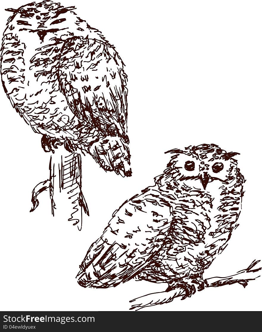 Two Owls