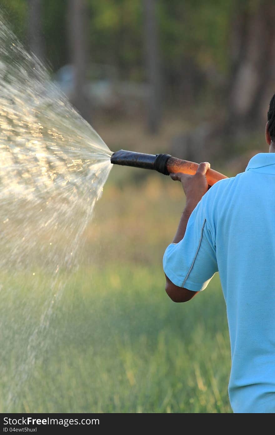 Watering the vegetable garden