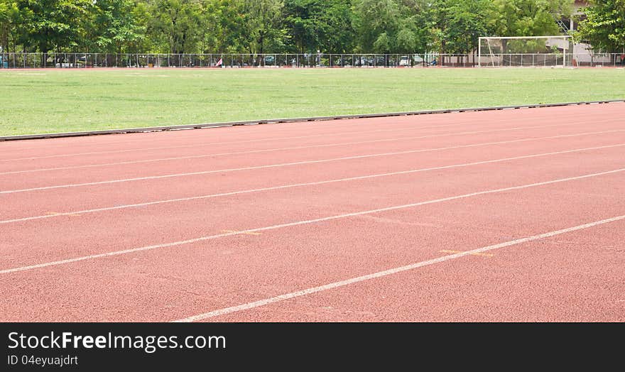 Soccer field with green grass