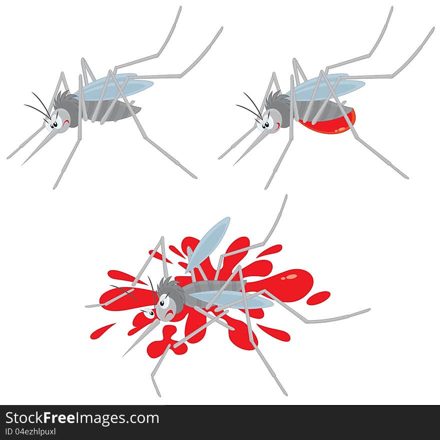 Vector clip-art of a grey mosquito sucking blood and crushed