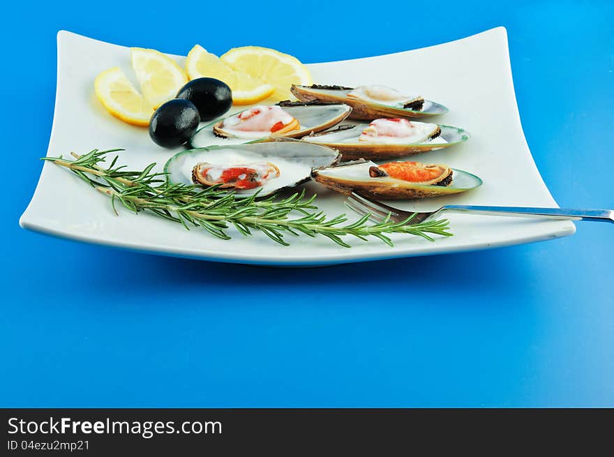 A dish with mussels with sauce bechamel with olives, lemon and rosemary. A dish with mussels with sauce bechamel with olives, lemon and rosemary